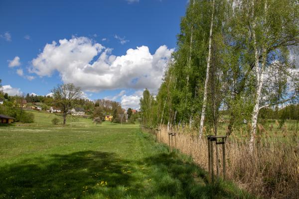 Sportplatz an der Brückenaue - Mittweida-Ringethal