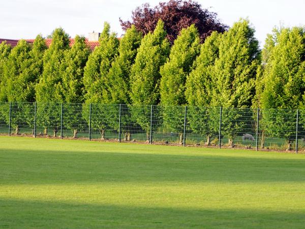 Sportplatz Erlte - Visbek-Erlte