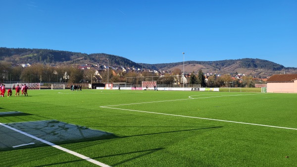 Sportanlage Schleusenweg Platz 2 - Erlabrunn