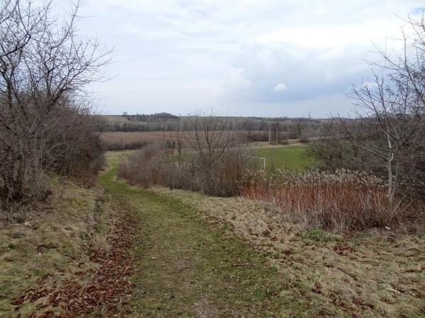 Sportplatz am Berg - Aschersleben-Groß Schierstedt 
