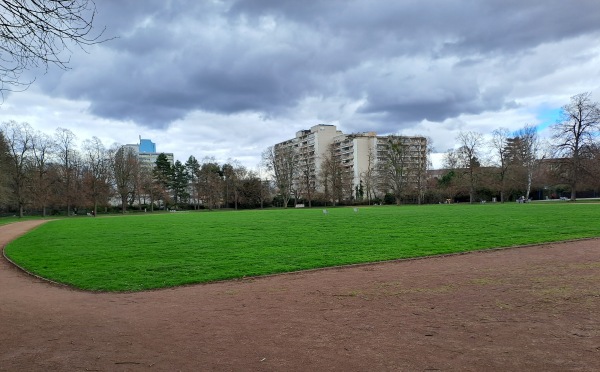 Sportwiese Herzogenriedpark - Mannheim-Neckarstadt-Ost