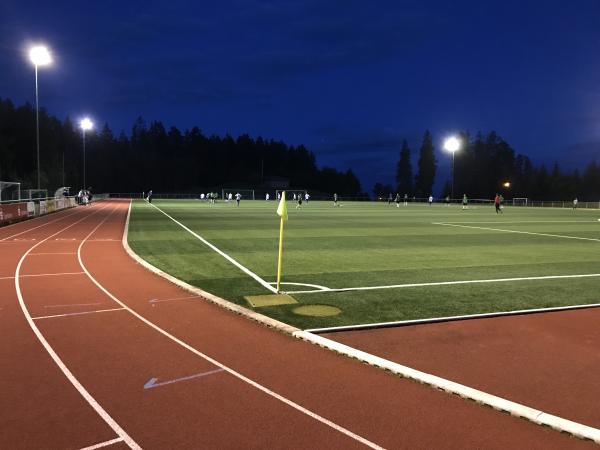 Sportstadion Höchstberg - Eisenbach/Hochschwarzwald-Auf dem Höchst