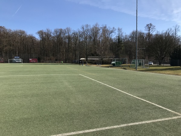 Ziegelei-Sportplatz 2 - Singen/Hohentwiel