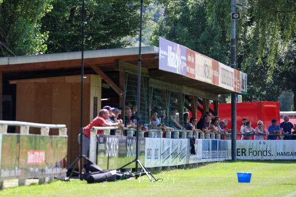 Sportanlage an den Talwiesen Fußballplatz 1 - Rielasingen-Worblingen
