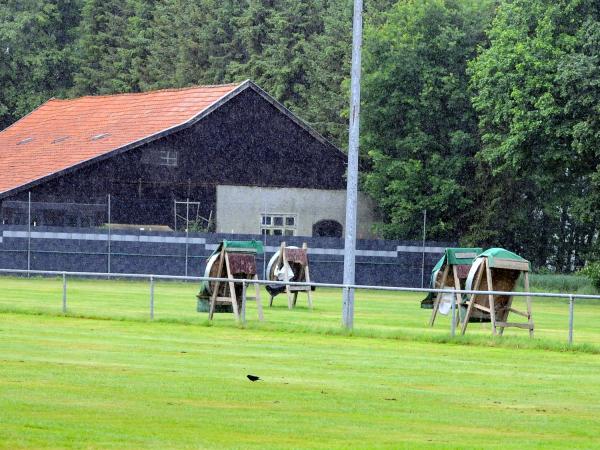 Sportplatz Dominikanerweg - Cappeln (Oldenburg)-Schwichteler