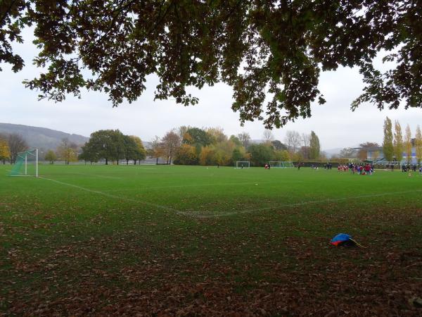 Sportanlage Rheinaue - Bonn-Plittersdorf