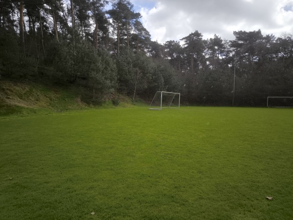 Stadion der Sportfreunde D-Platz - Meppen-Schwefingen