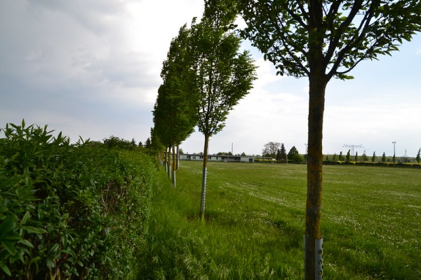 Sportplatz Porst - Köthen/Anhalt-Porst