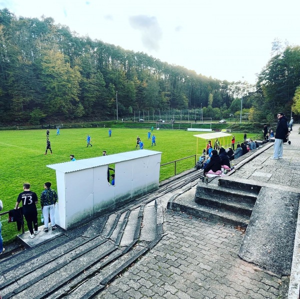 Sportgelände in der Pfaffendölle - Dahn