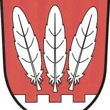 Wappen TJ Sokol Pyšel