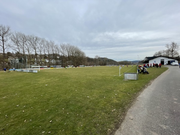 Sportanlage auf der Regeninsel - Viechtach