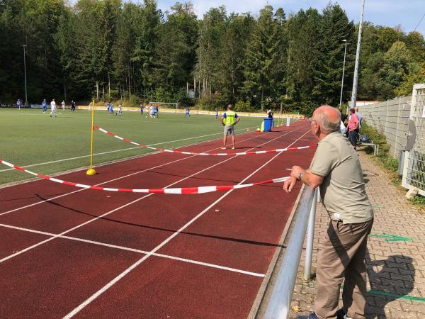 Sportplatz Winterrain 2 - Ispringen