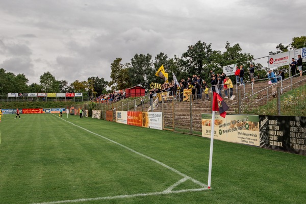 Stadion am Hölzchen - Stendal