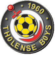 Wappen VV Tholense Boys  31335