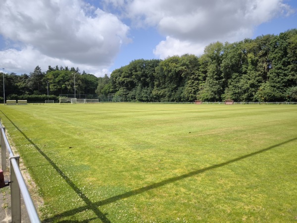 Sportpark Bospad veld 2 - Wijchen