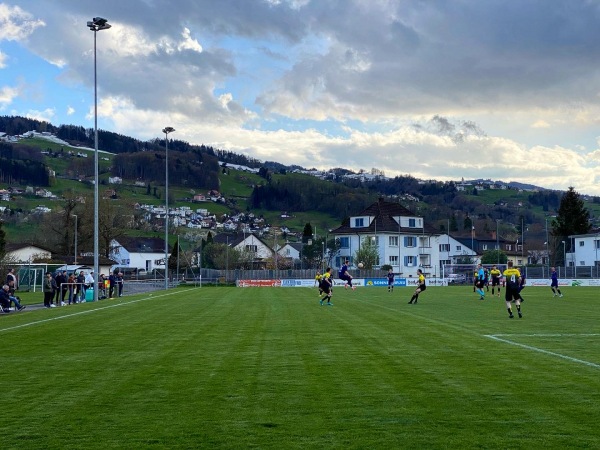 Sportplatz Stapfenwies - Rheineck