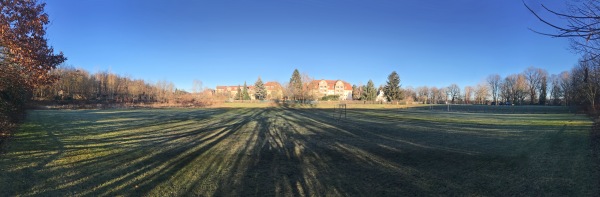 Schwanenschloß-Sportplatz - Zwickau