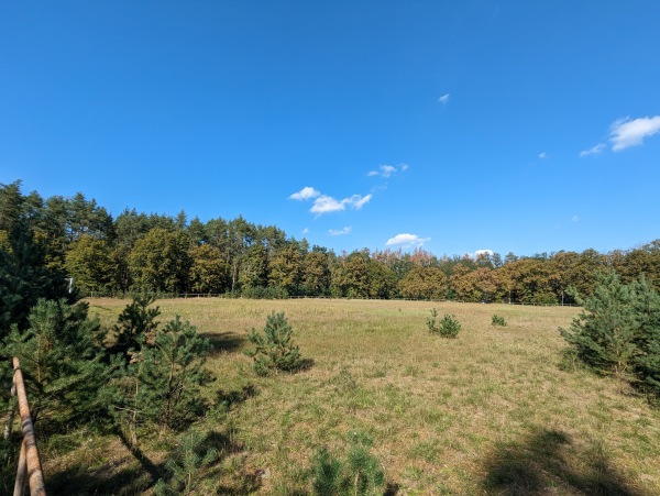 Sportplatz Birkholz - Tangerhütte-Birkholz