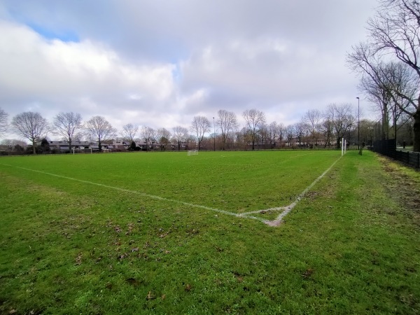 Sportpark Amstelhoef veld 4 - Oss
