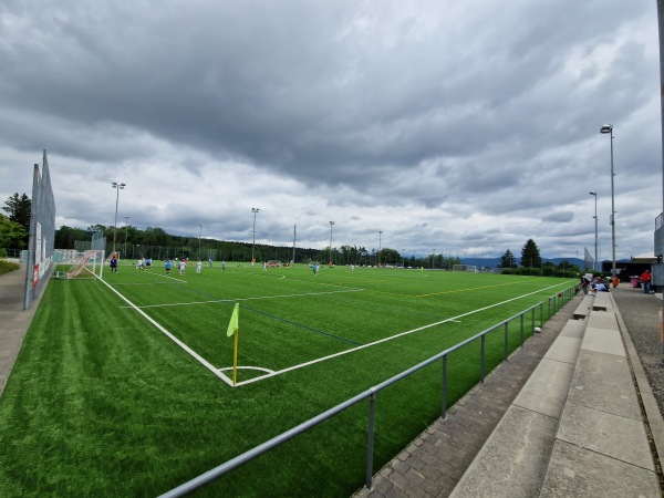 Sportanlage Fallacher - Küsnacht ZH