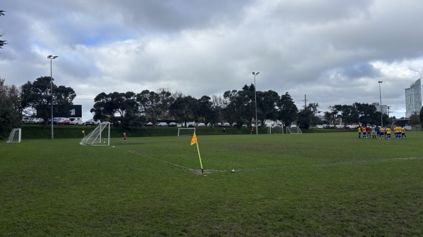 Taharoto Park field 2 - Auckland