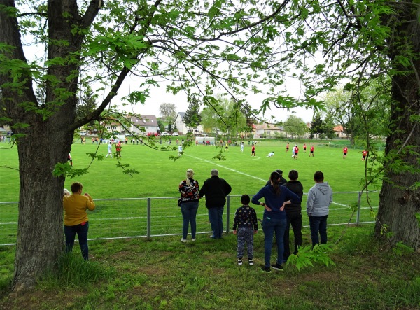 Buscui Sportpálya - Bucsu