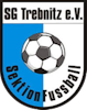 Wappen SG Trebnitz 1949