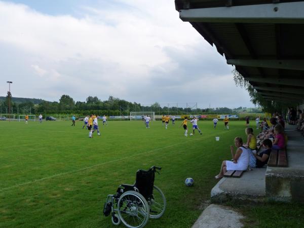 Fledermaus-Arena - Hofkirchen an der Trattnach