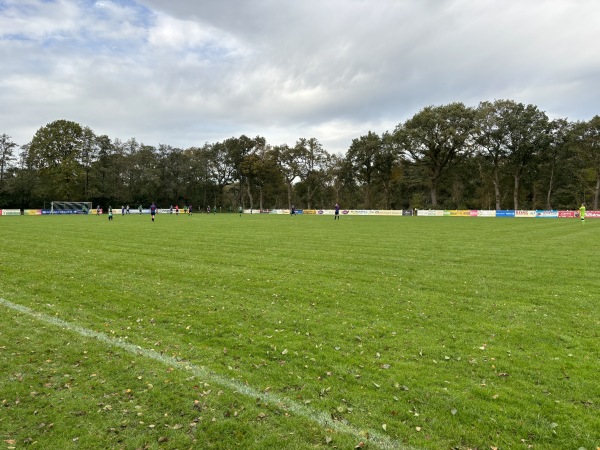 Sportanlage Patersweg-Süd - Westoverledingen-Ihren