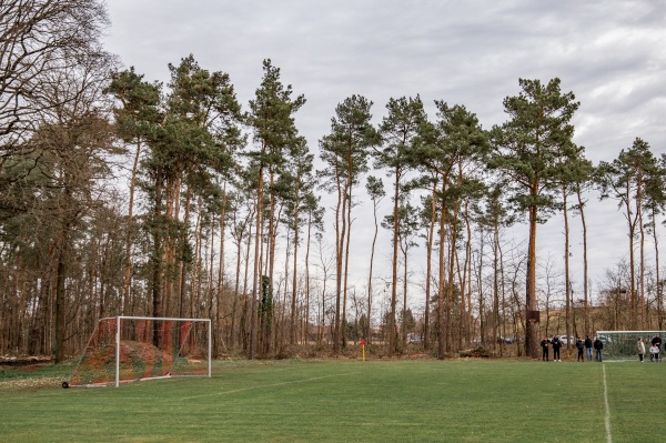 Norbert-Passek-Sportfeld - Elsterheide-Bergen