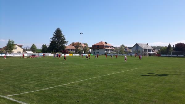 Sportplatz Spiegelberg - Halten