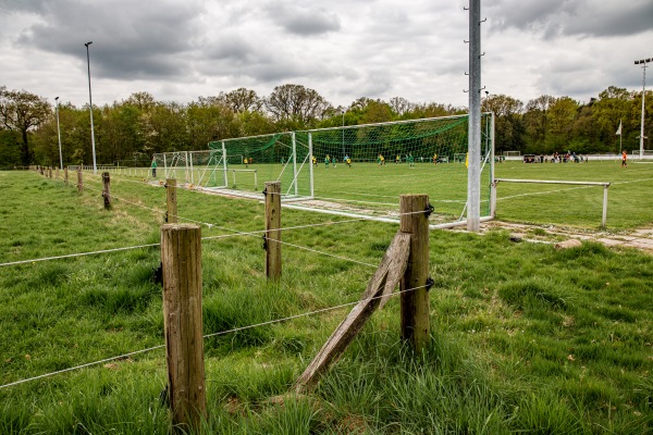 Waldstadion B-Platz - Steyerberg