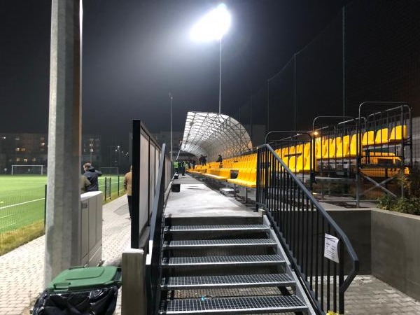 Stadion Szkoły Mistrzostwa Sportowego w Radzionkowie - Radzionków
