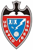 Wappen UD Rayo Ibense  14175