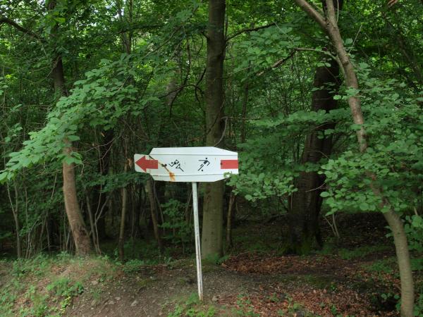 Stadion der Ordensburg Vogelsang - Schleiden-Vogelsang