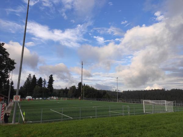 Sportplatz Friedenweiler - Friedenweiler