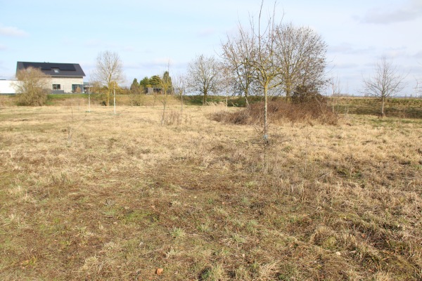 Sportplatz Borr - Erftstadt-Borr