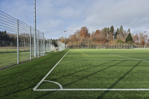 Sportanlage Barzloo Kunstrasenplatz - Pfäffikon ZH