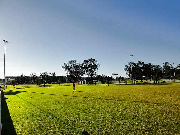 Ashfield Reserve - Perth 