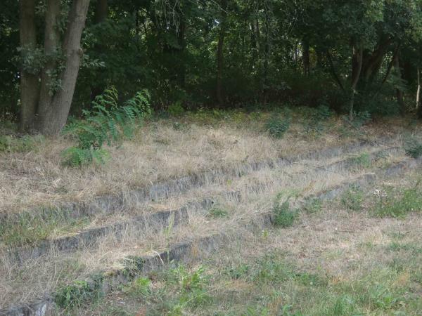 Sportplatz Am Ehrenmal - Berlin-Schönholz