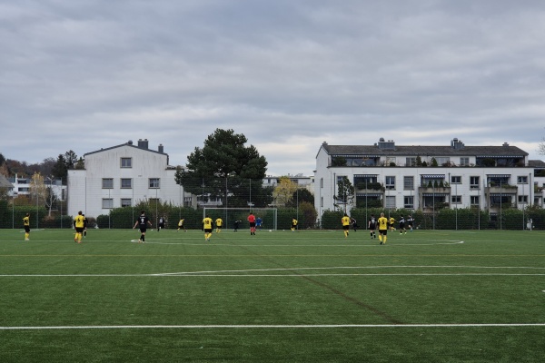 Sportzentrum Allmend Platz 2 - Meilen
