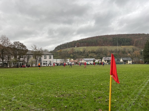 Schulsportplatz - Elsenfeld-Rück