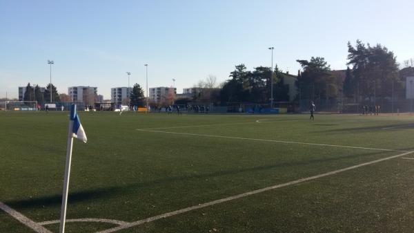 Otto-Schott-Sportzentrum Platz 2 - Mainz-Mombach