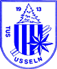 Wappen TuS Usseln 1913  32703