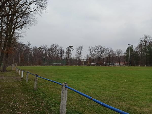 Wald-Stadion Nebenplatz - Linkenheim-Hochstetten
