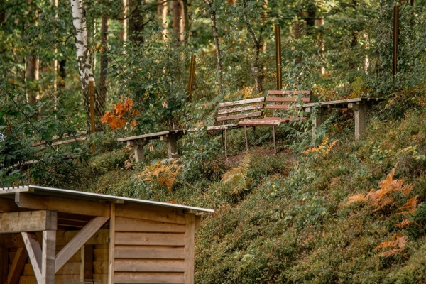 Waldsportplatz - Dippoldiswalde-Seifersdorf