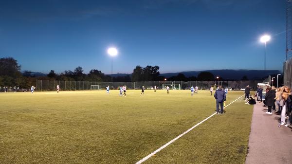 Lagan Turf Arena - Lagan