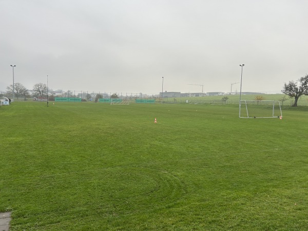 Sportgelände am Reifenberg Platz 2 - Wörth/Main