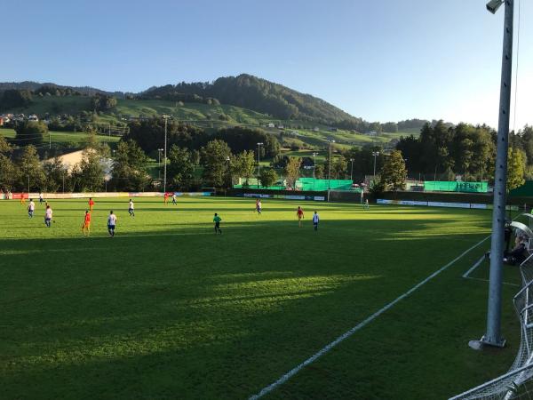 Sportplatz Erlenmoos - Wollerau