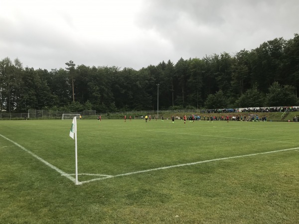 Sportanlage Mittelbergstraße - Ettlingen-Schöllbronn